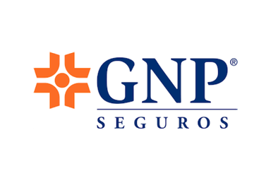 Home Gonzalez Gonzalez - Aseguradora GNP Seguros